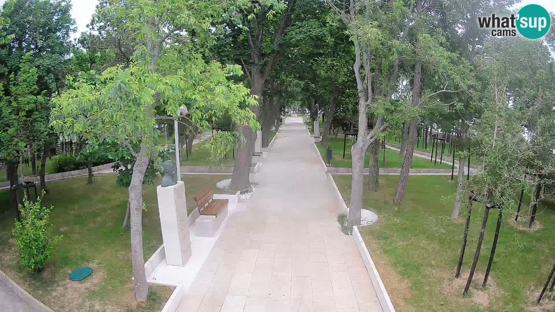 Webcam Parco degli Scrittori Segna – Diretta sul Mare