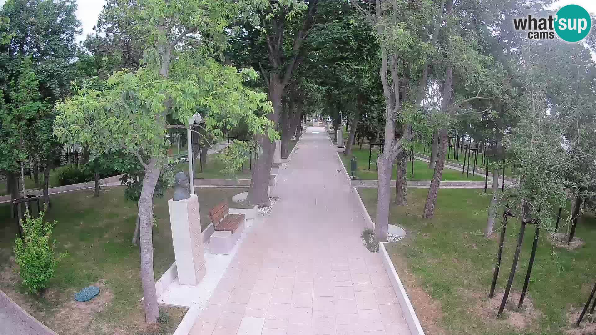 Webcam Parco degli Scrittori Segna – Diretta sul Mare