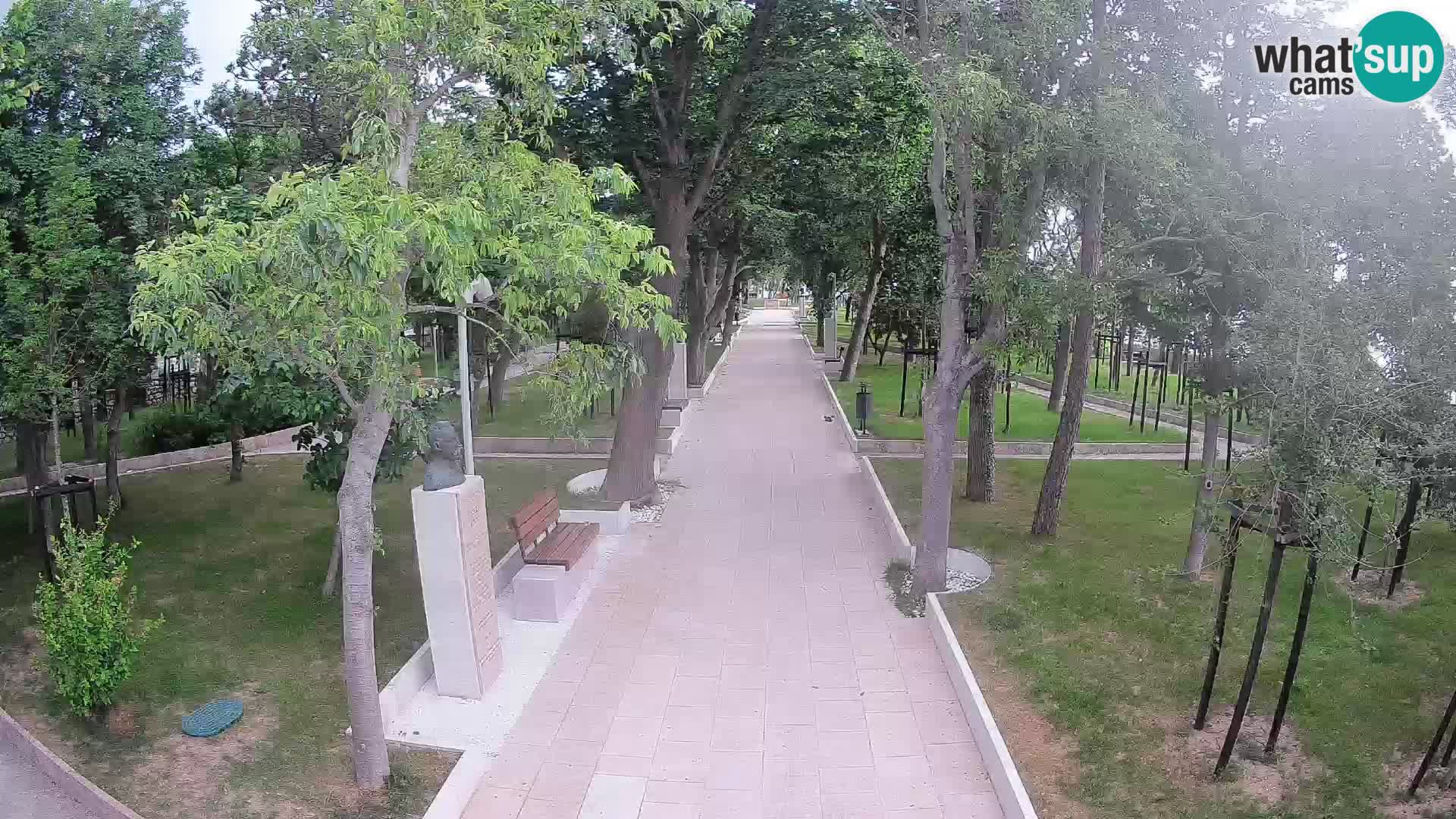 Webcam Parco degli Scrittori Segna – Diretta sul Mare
