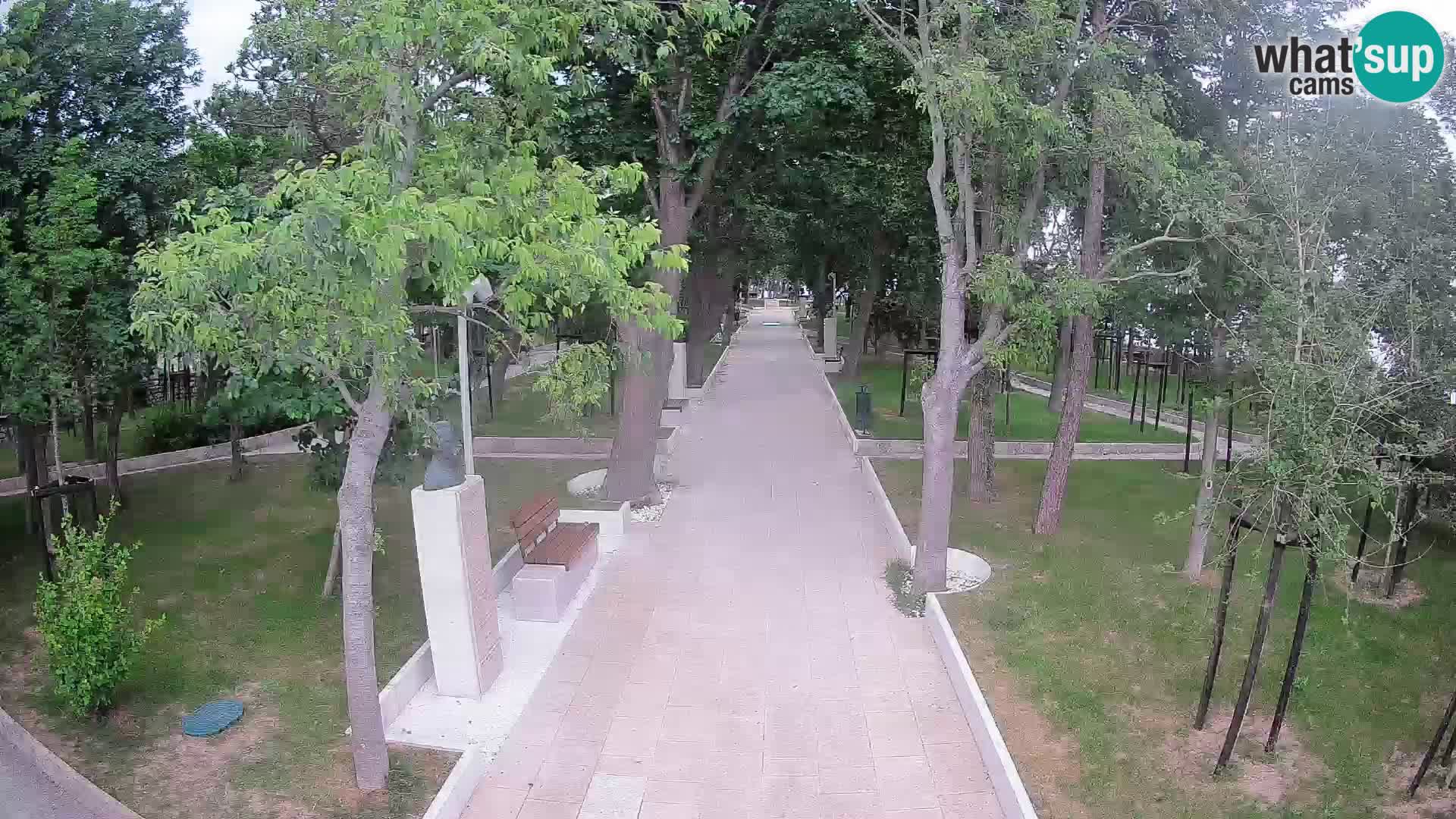 Webcam Schriftstellerpark Senj – Live am Meer