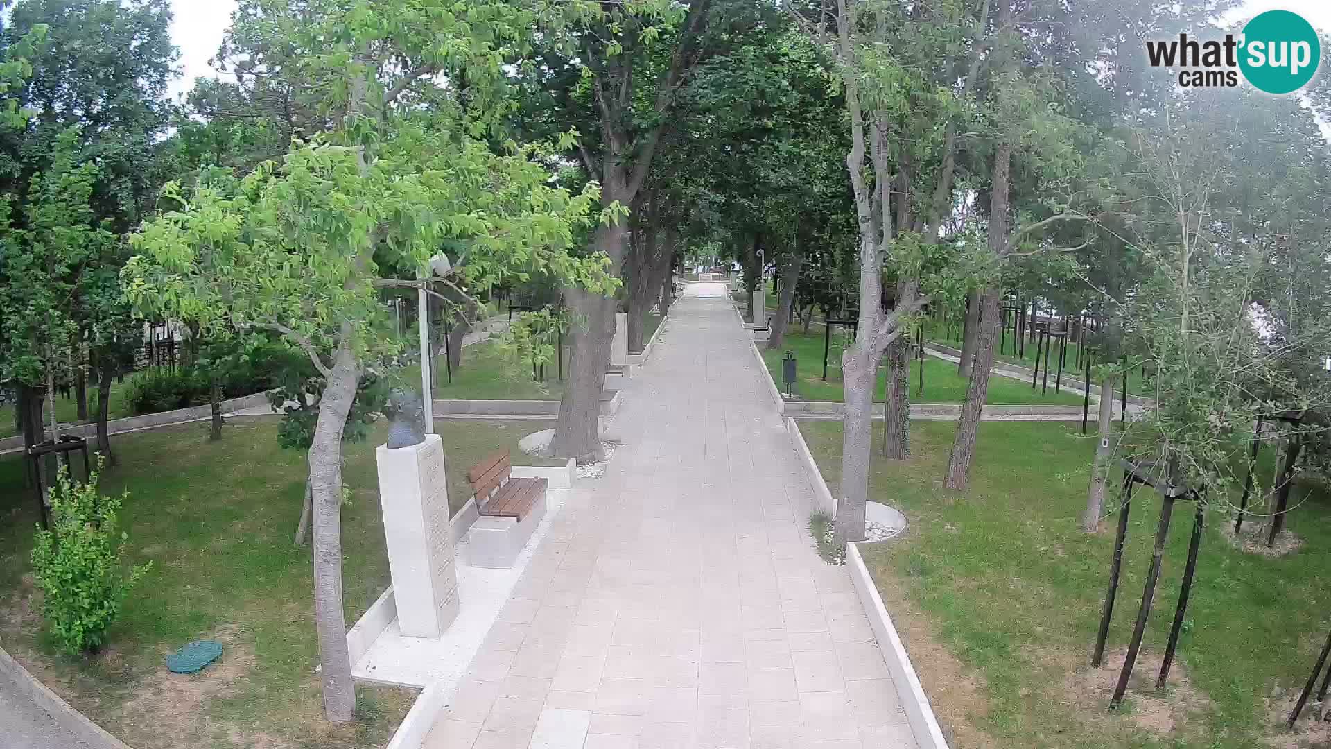 Webcam Parco degli Scrittori Segna – Diretta sul Mare