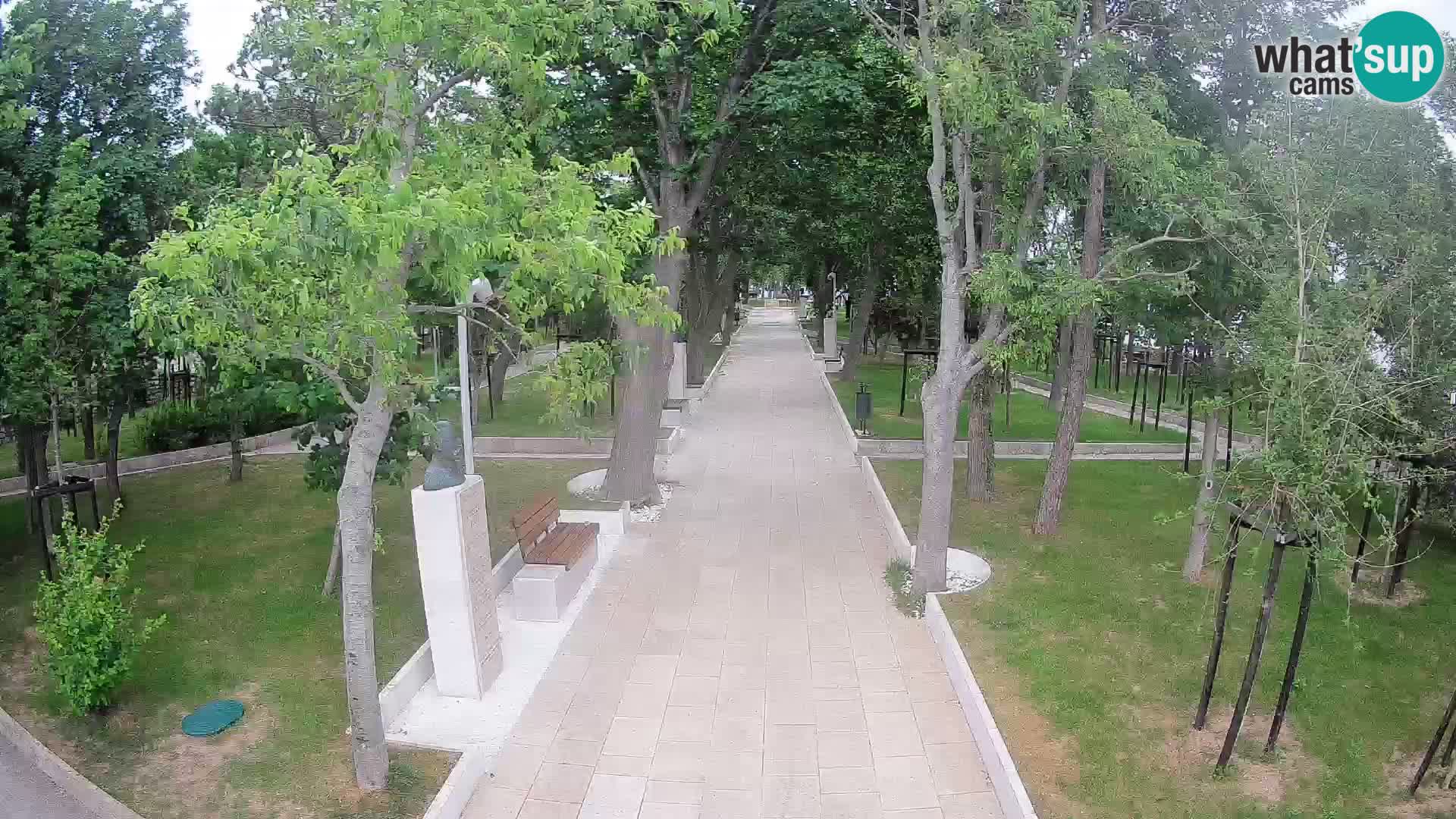 Writers’ Park Webcam Senj – Live by the Sea