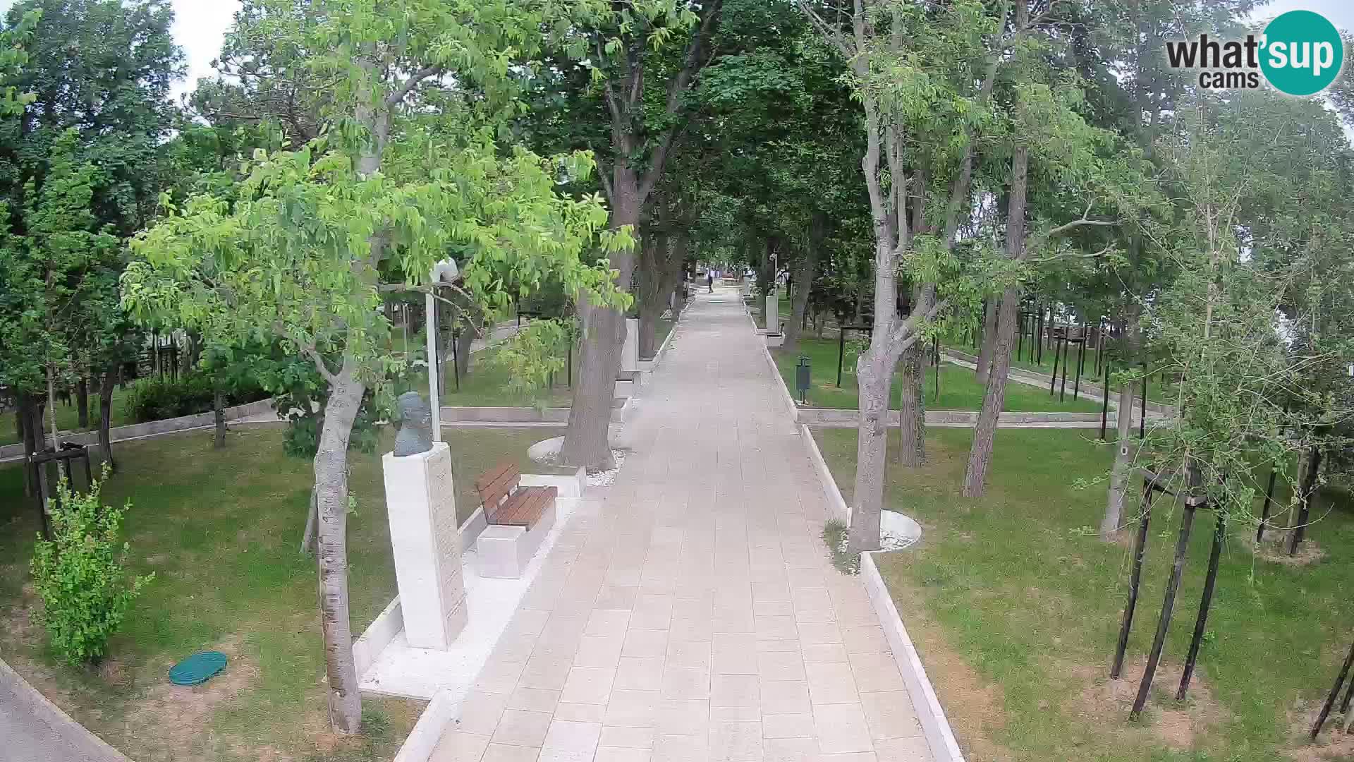 Webcam Parco degli Scrittori Segna – Diretta sul Mare