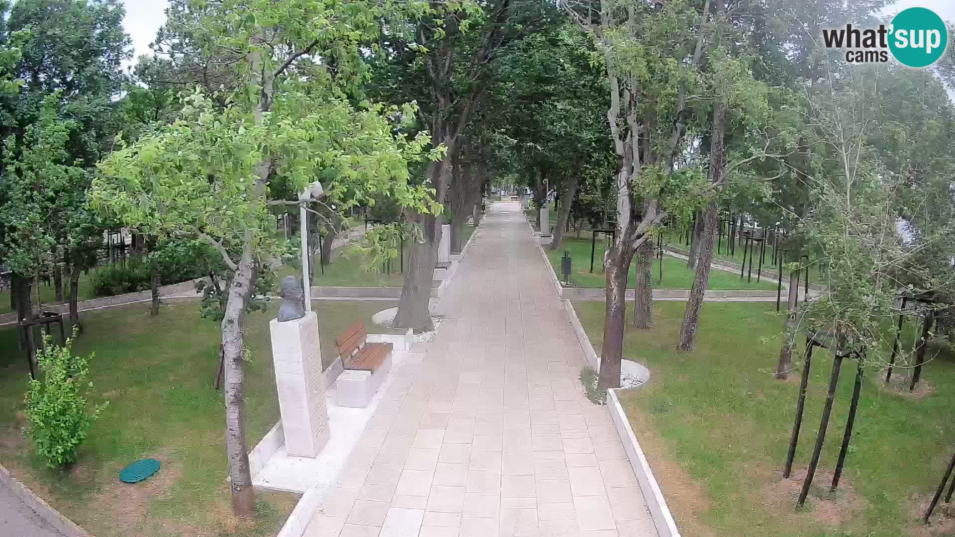 Webcam Parco degli Scrittori Segna – Diretta sul Mare
