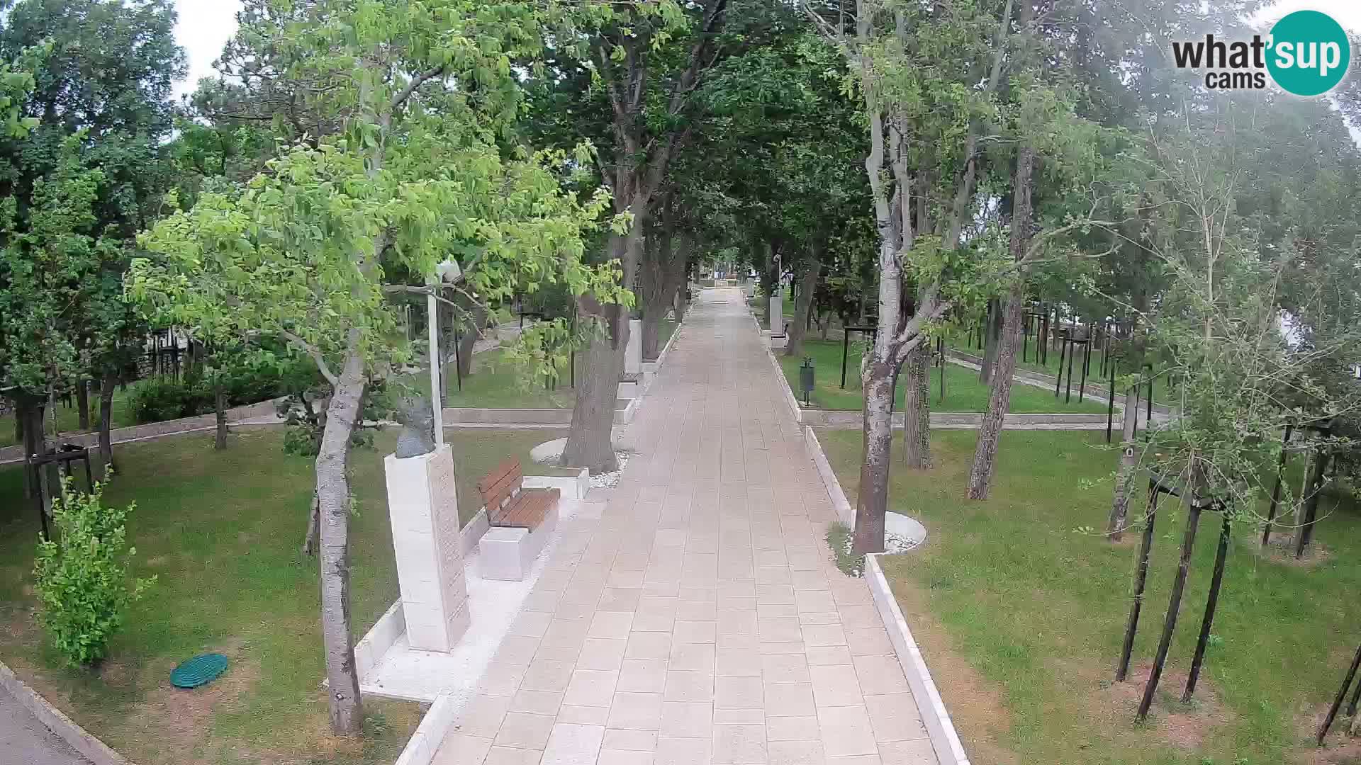 Webcam Parco degli Scrittori Segna – Diretta sul Mare