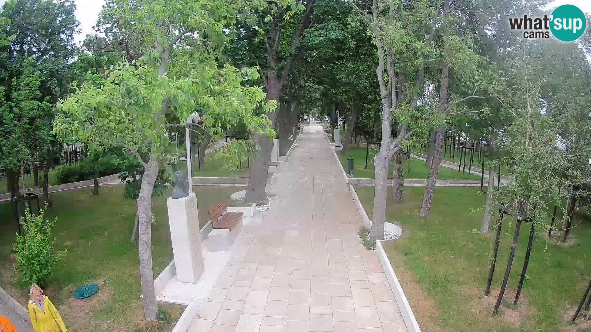 Webcam Parco degli Scrittori Segna – Diretta sul Mare