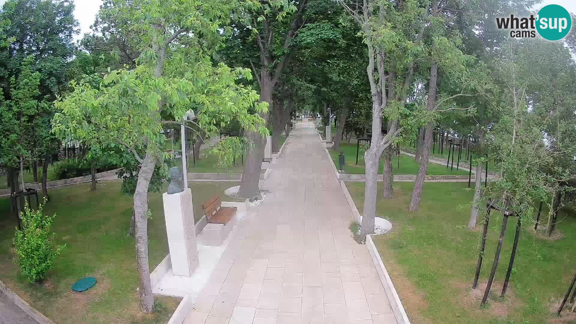 Webcam Parco degli Scrittori Segna – Diretta sul Mare