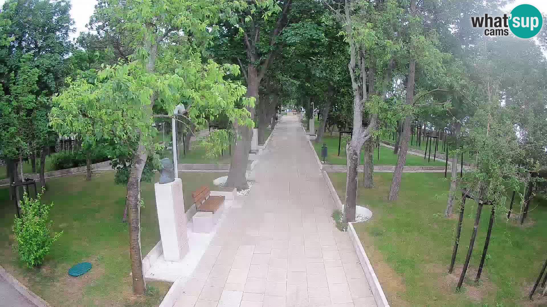 Webcam Schriftstellerpark Senj – Live am Meer