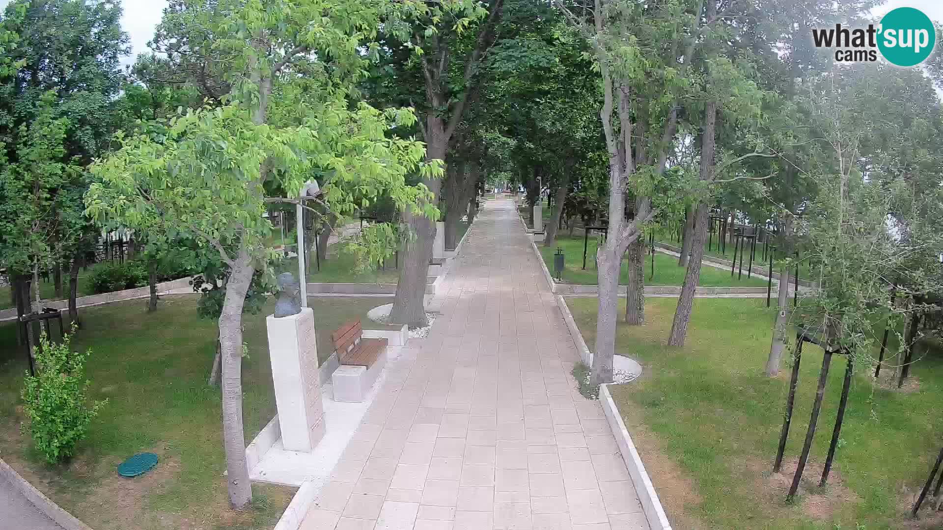 Webcam Schriftstellerpark Senj – Live am Meer