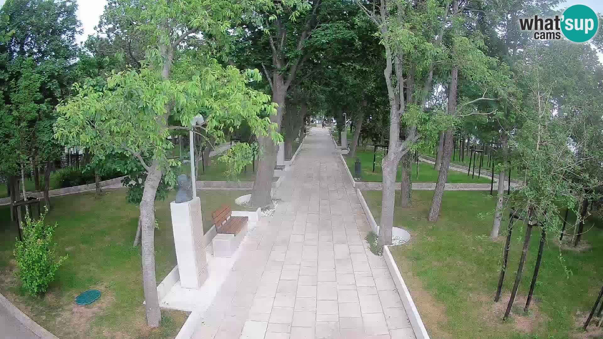 Webcam Parco degli Scrittori Segna – Diretta sul Mare