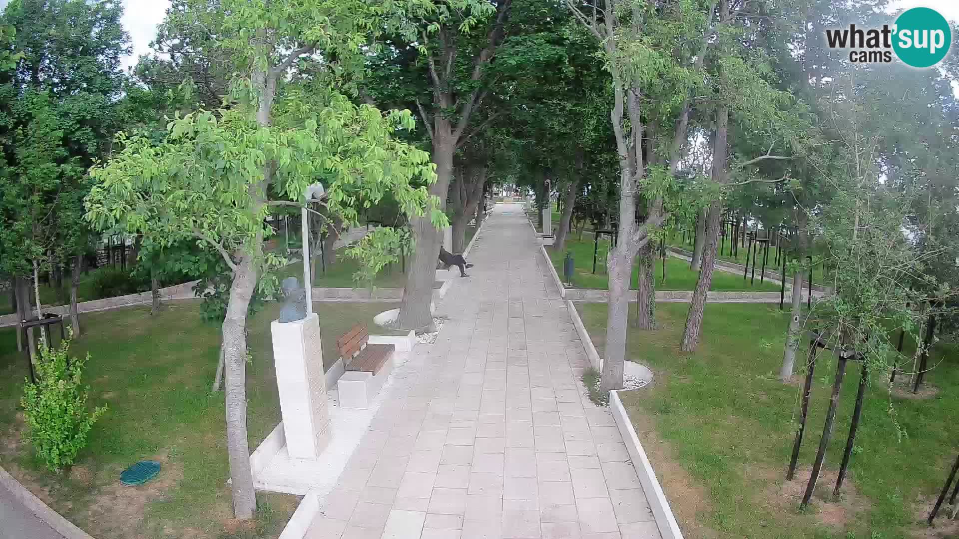 Writers’ Park Webcam Senj – Live by the Sea