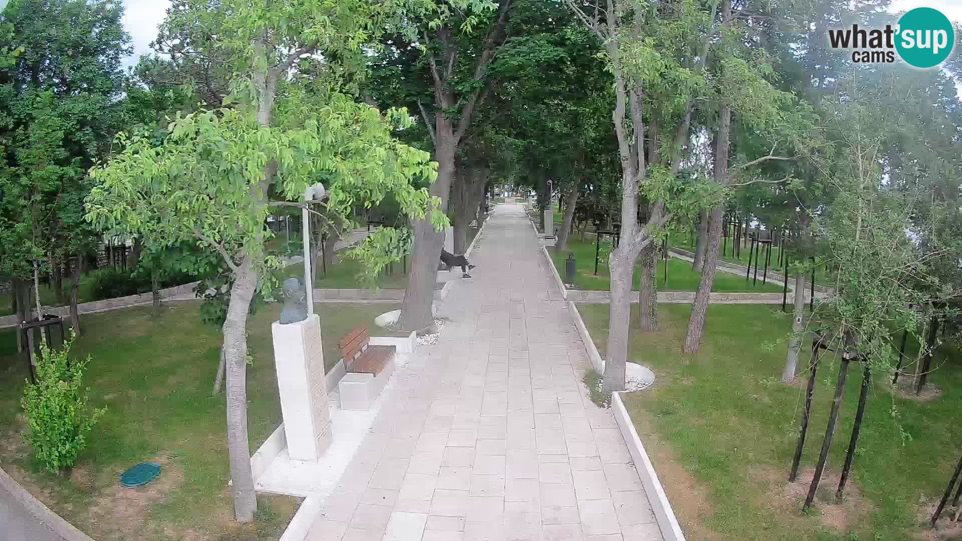 Webcam Schriftstellerpark Senj – Live am Meer