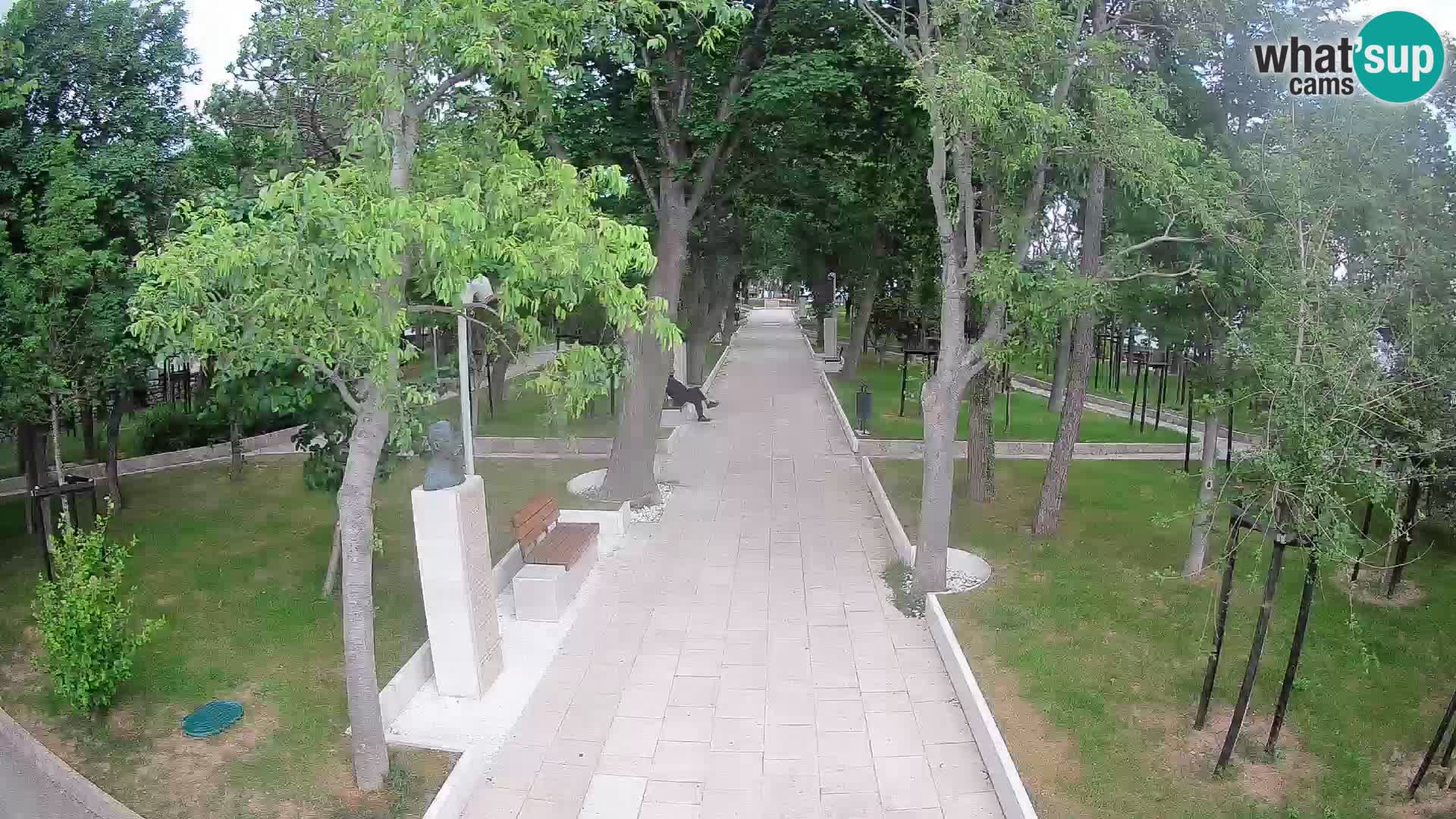Writers’ Park Webcam Senj – Live by the Sea