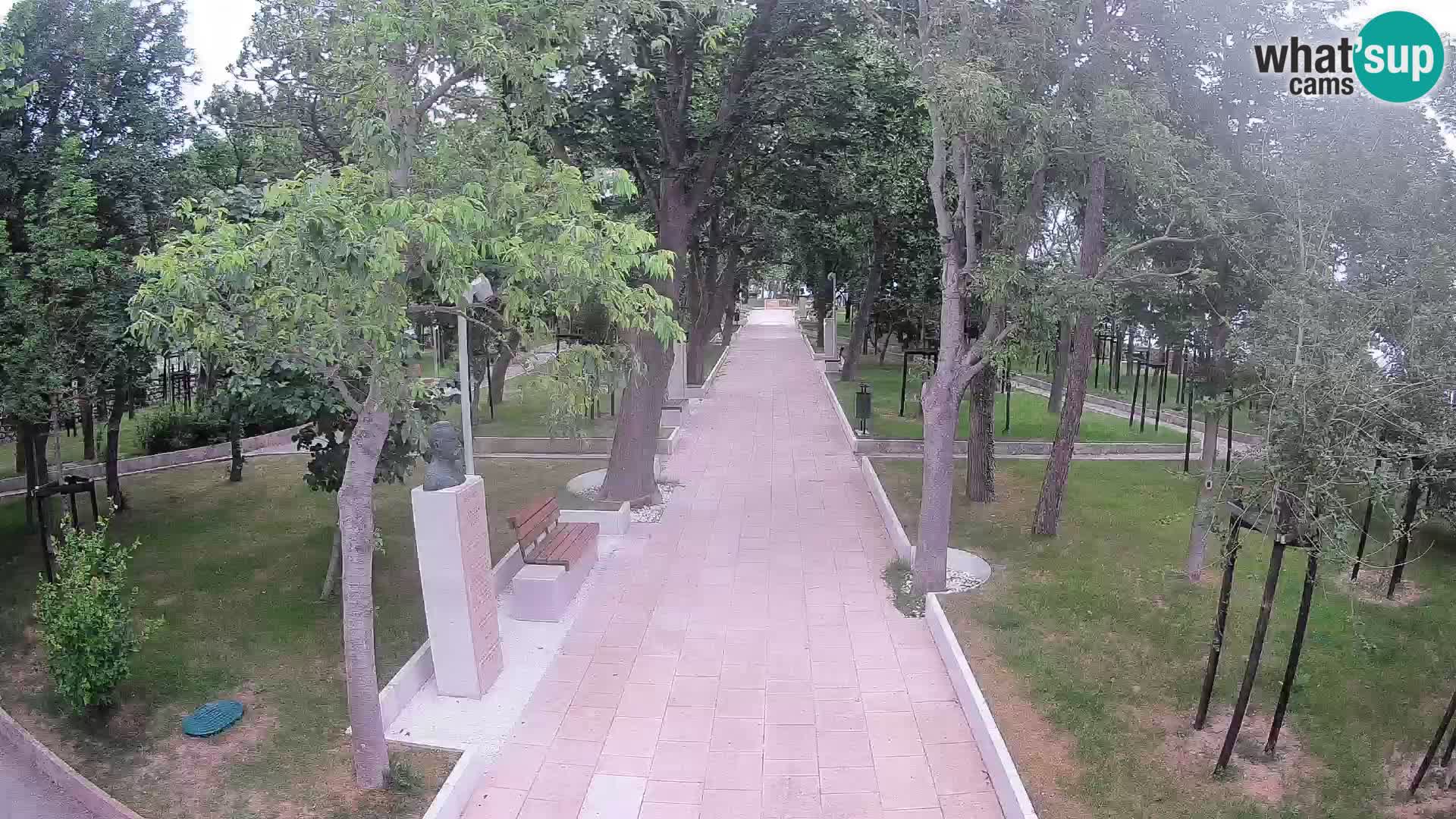 Webcam Schriftstellerpark Senj – Live am Meer