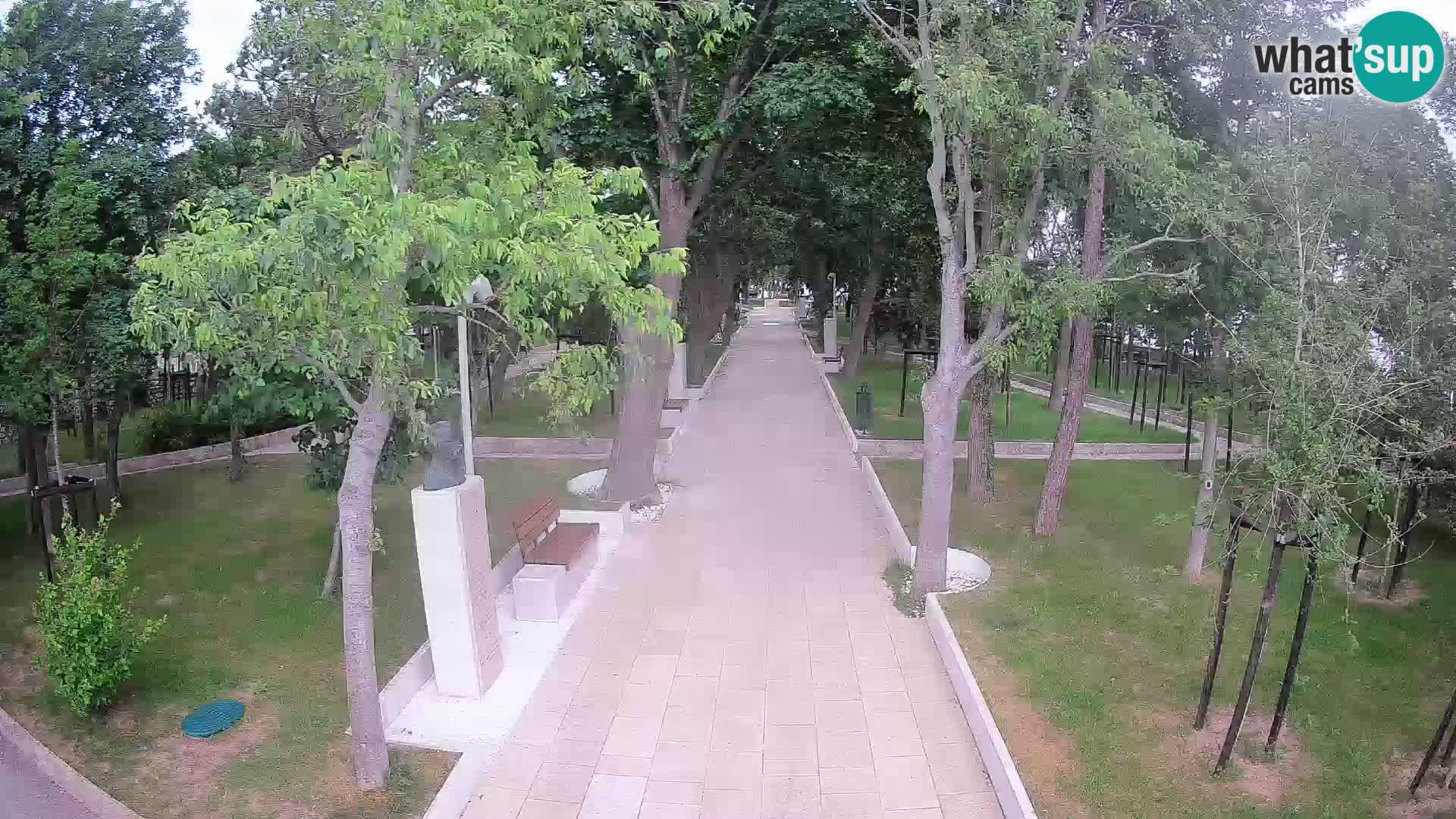 Webcam Schriftstellerpark Senj – Live am Meer