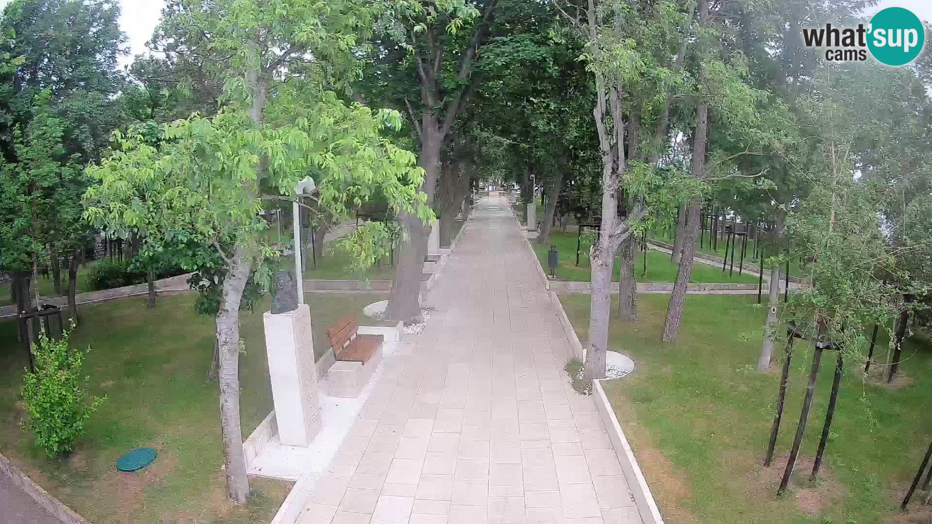 Webcam Parco degli Scrittori Segna – Diretta sul Mare
