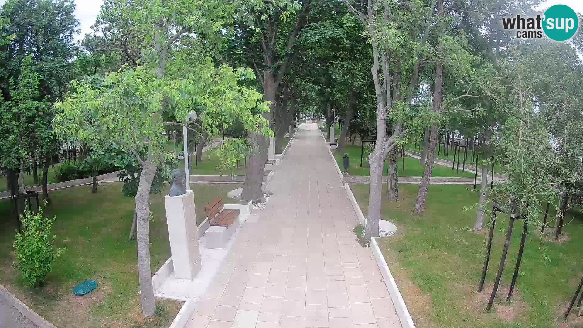 Webcam Parco degli Scrittori Segna – Diretta sul Mare