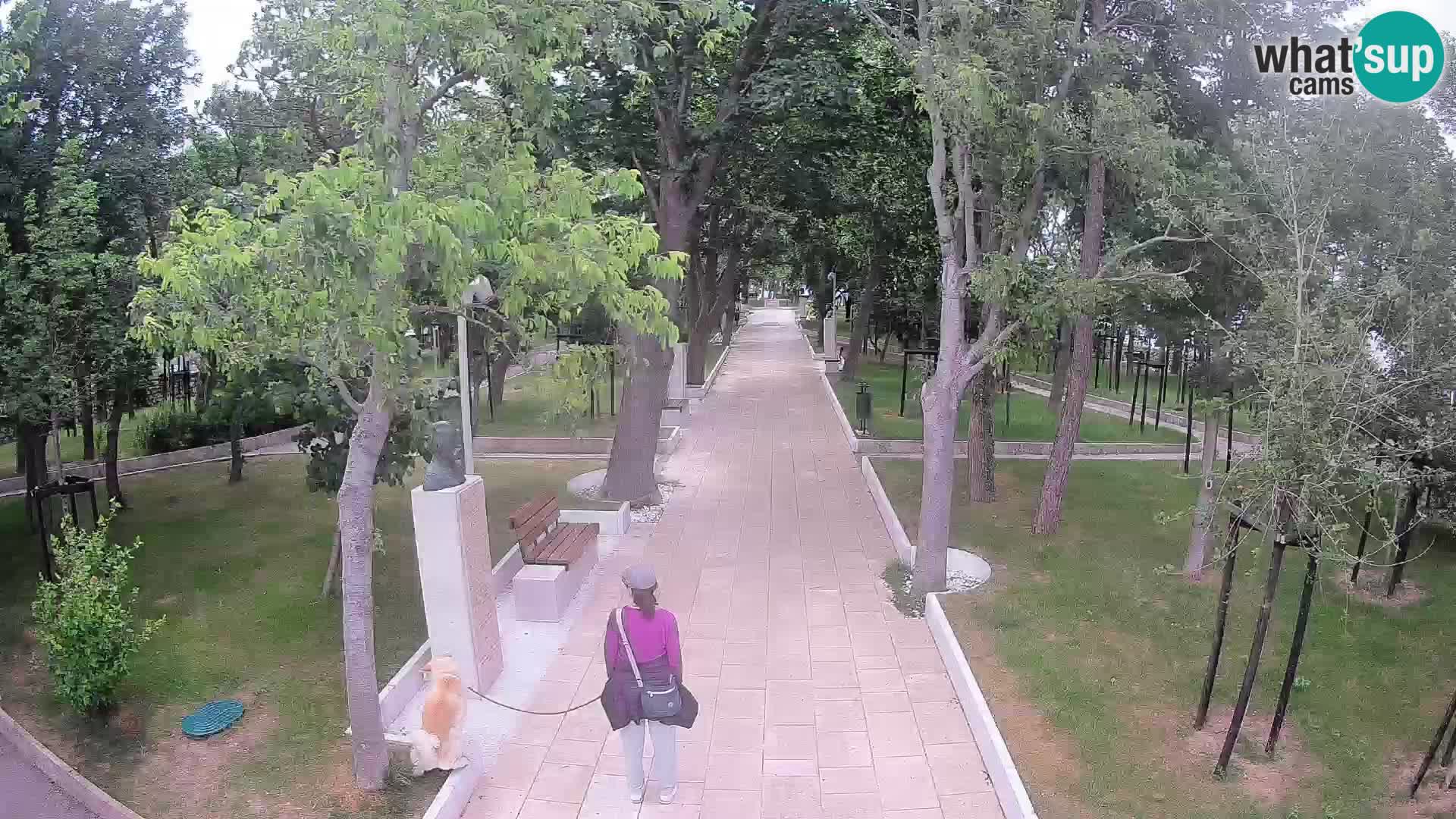 Writers’ Park Webcam Senj – Live by the Sea