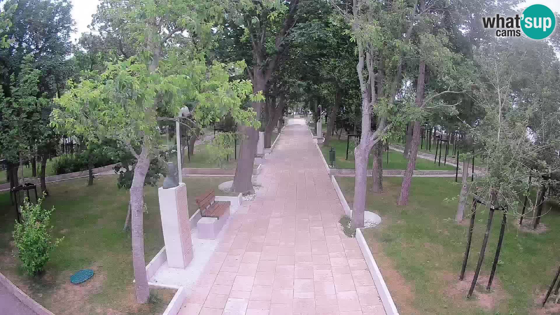 Writers’ Park Webcam Senj – Live by the Sea