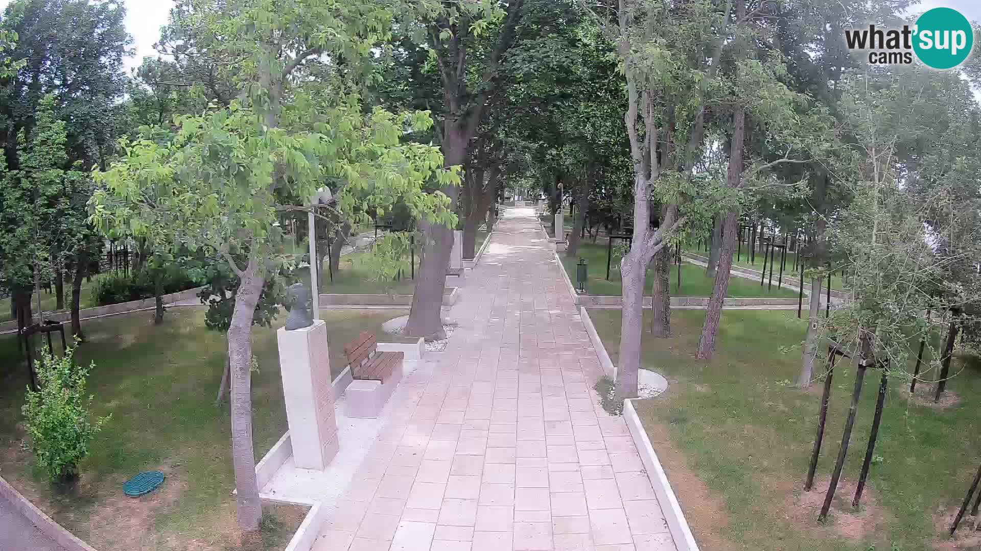 Webcam Parco degli Scrittori Segna – Diretta sul Mare