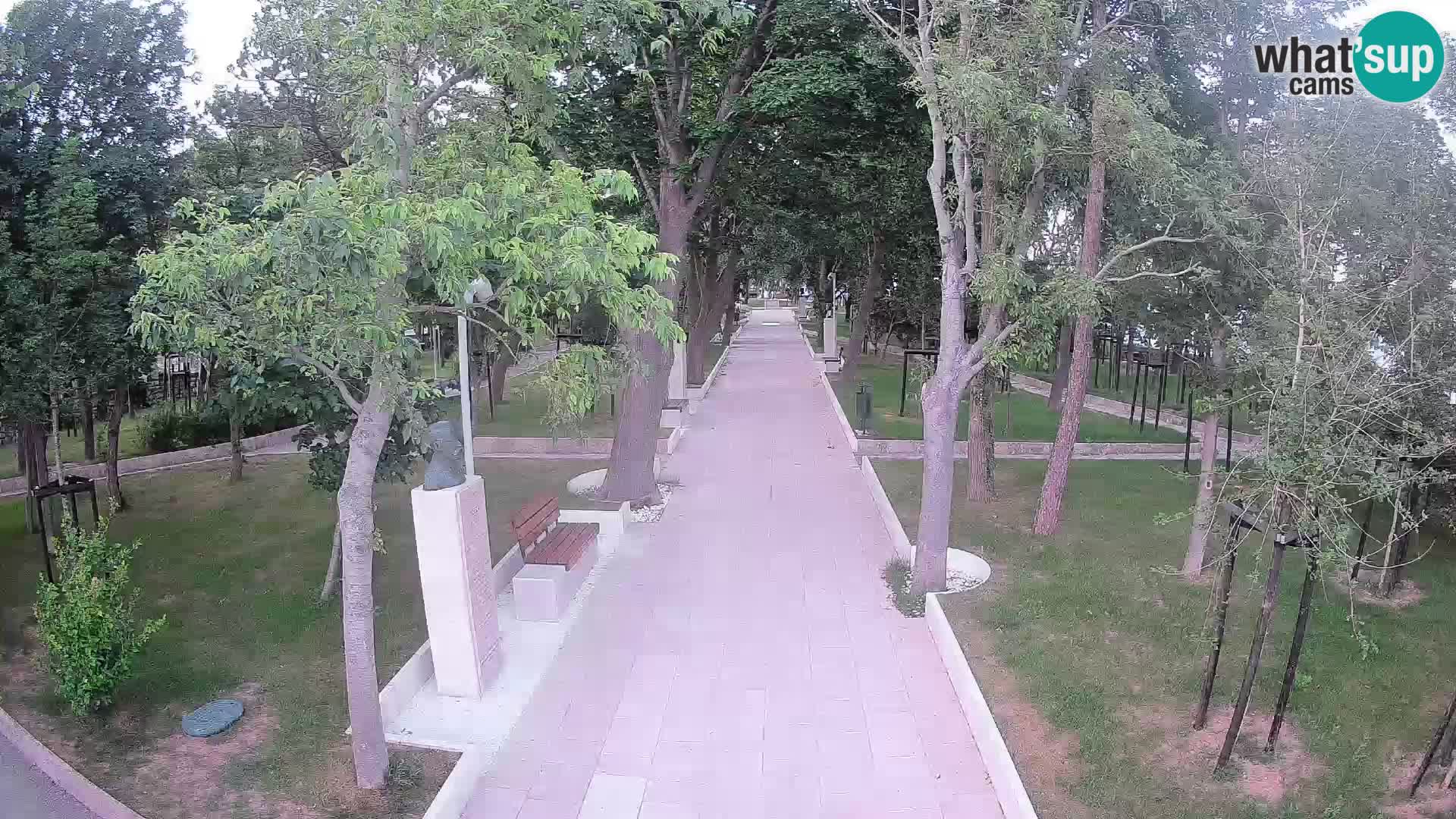 Webcam Schriftstellerpark Senj – Live am Meer