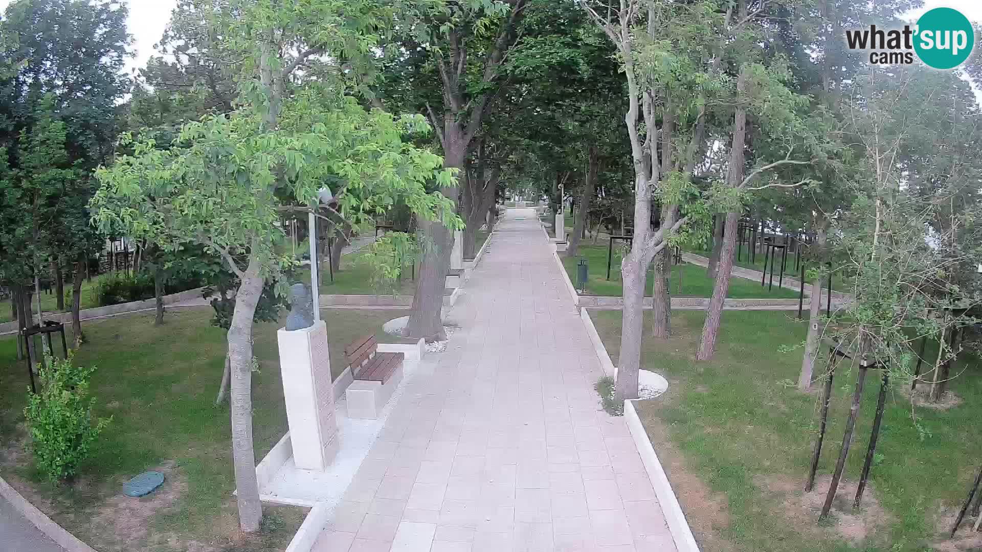 Webcam Parco degli Scrittori Segna – Diretta sul Mare