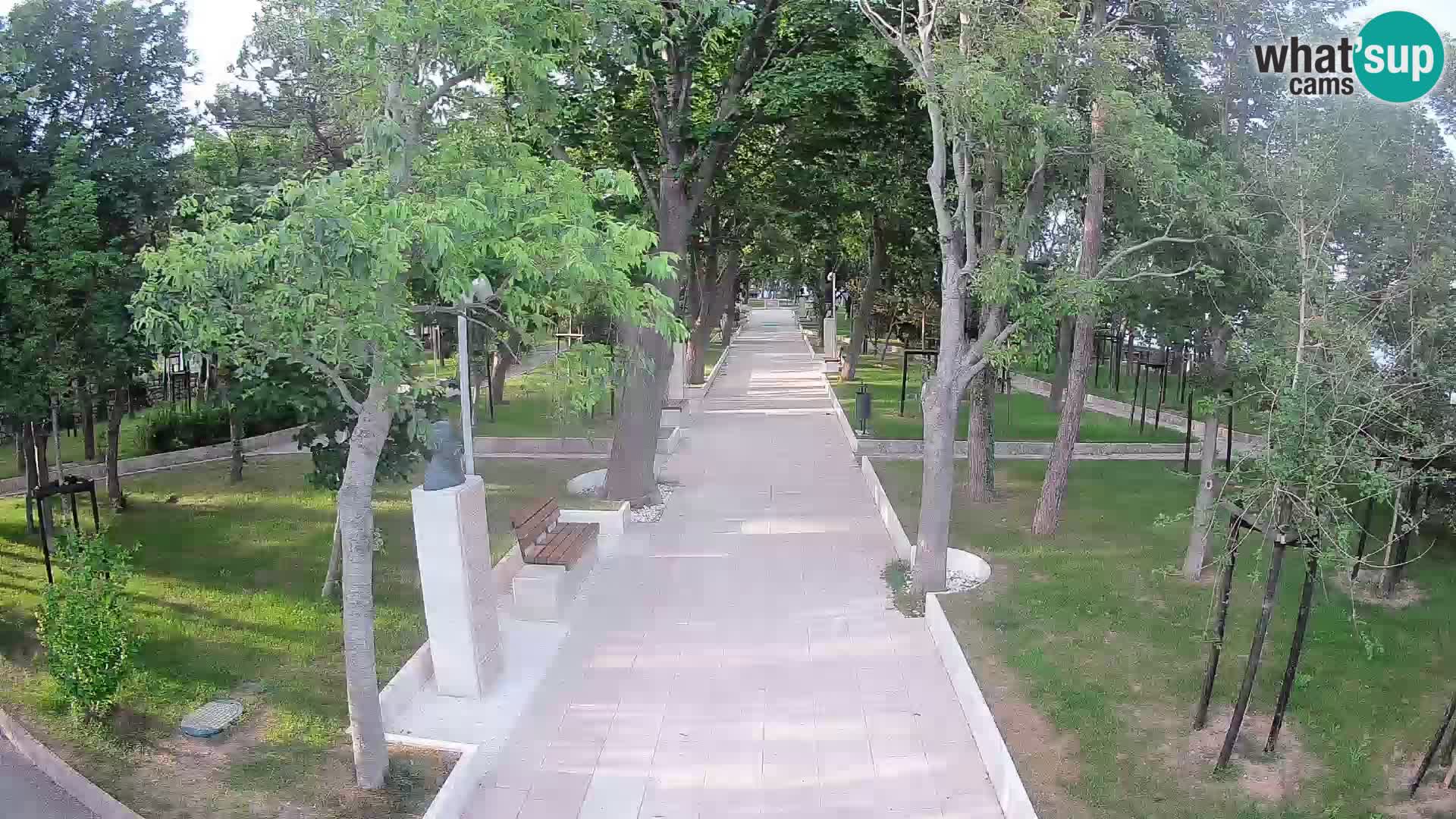 Webcam Parco degli Scrittori Segna – Diretta sul Mare