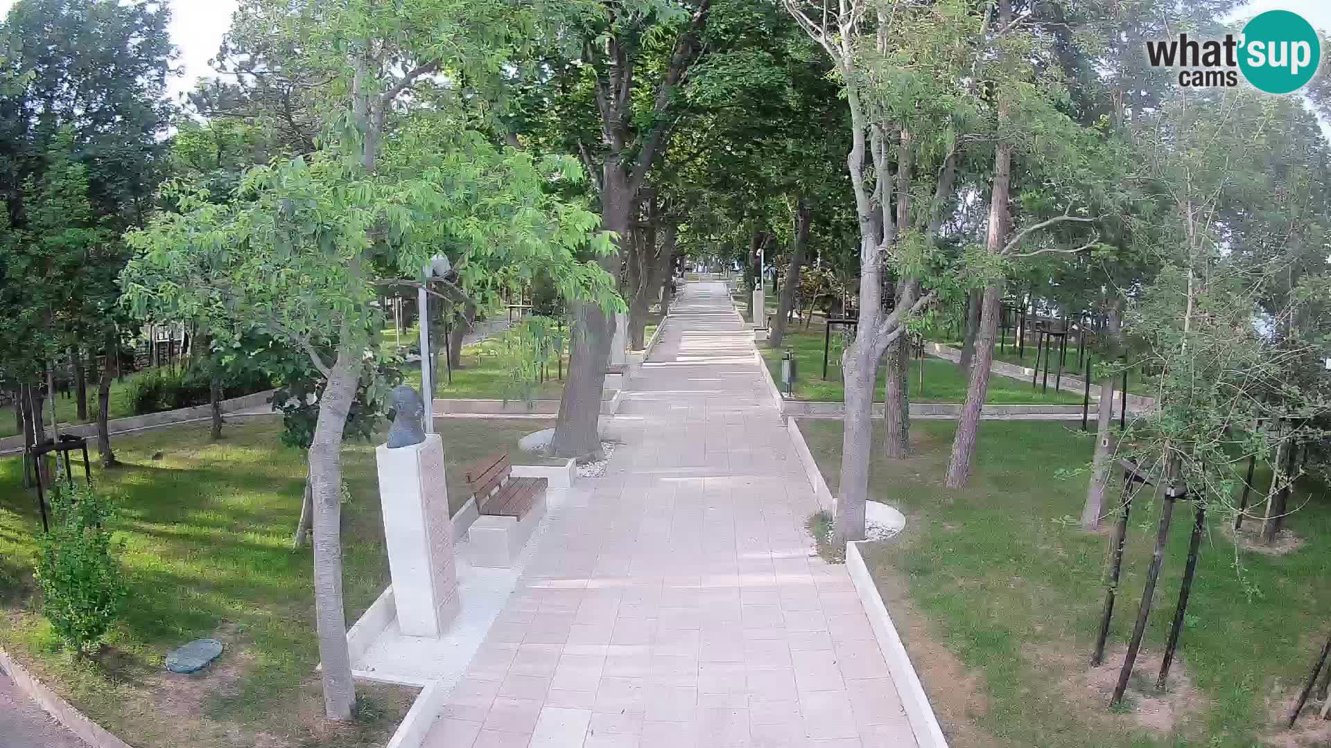 Webcam Parco degli Scrittori Segna – Diretta sul Mare