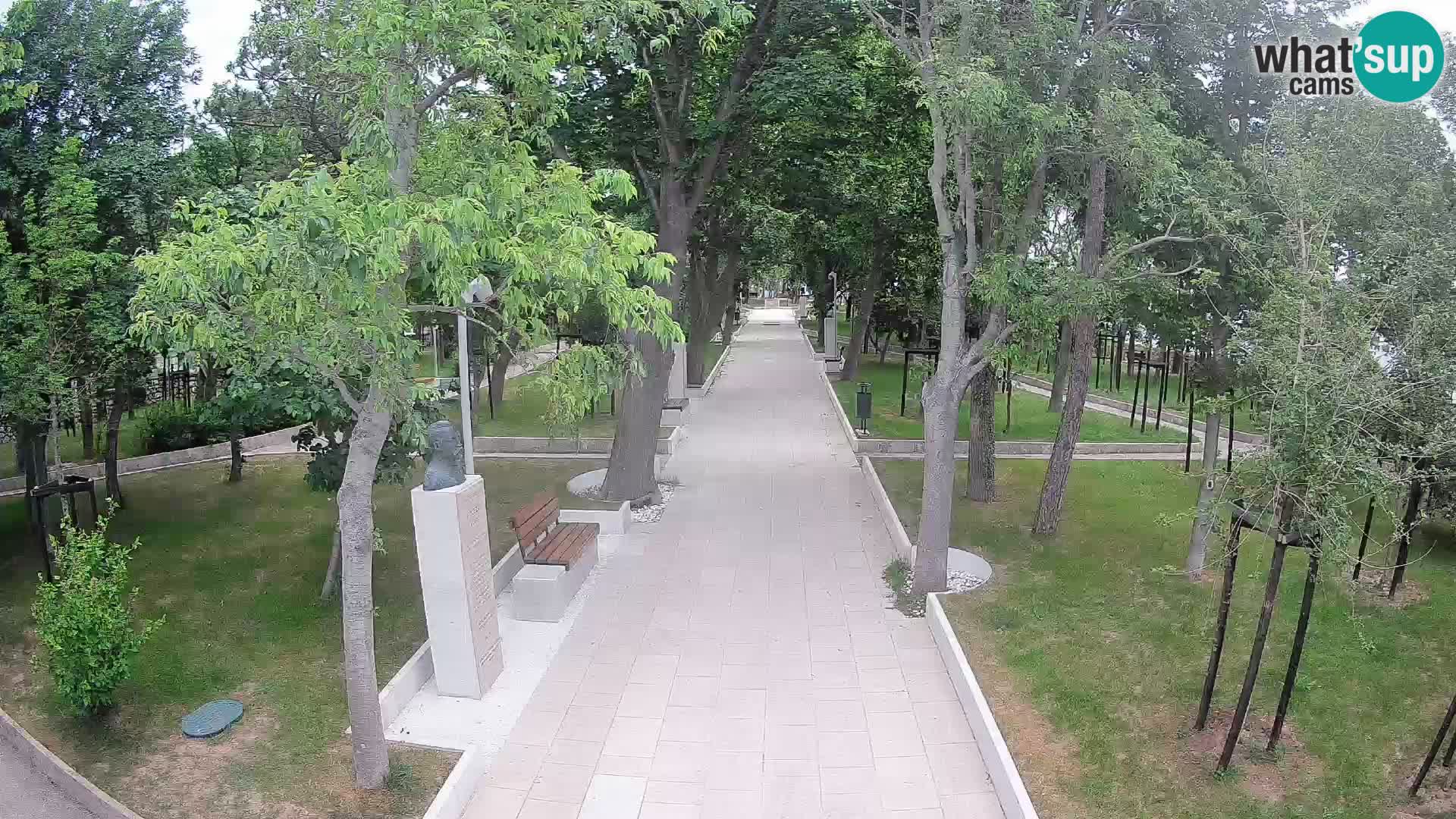 Webcam Parco degli Scrittori Segna – Diretta sul Mare