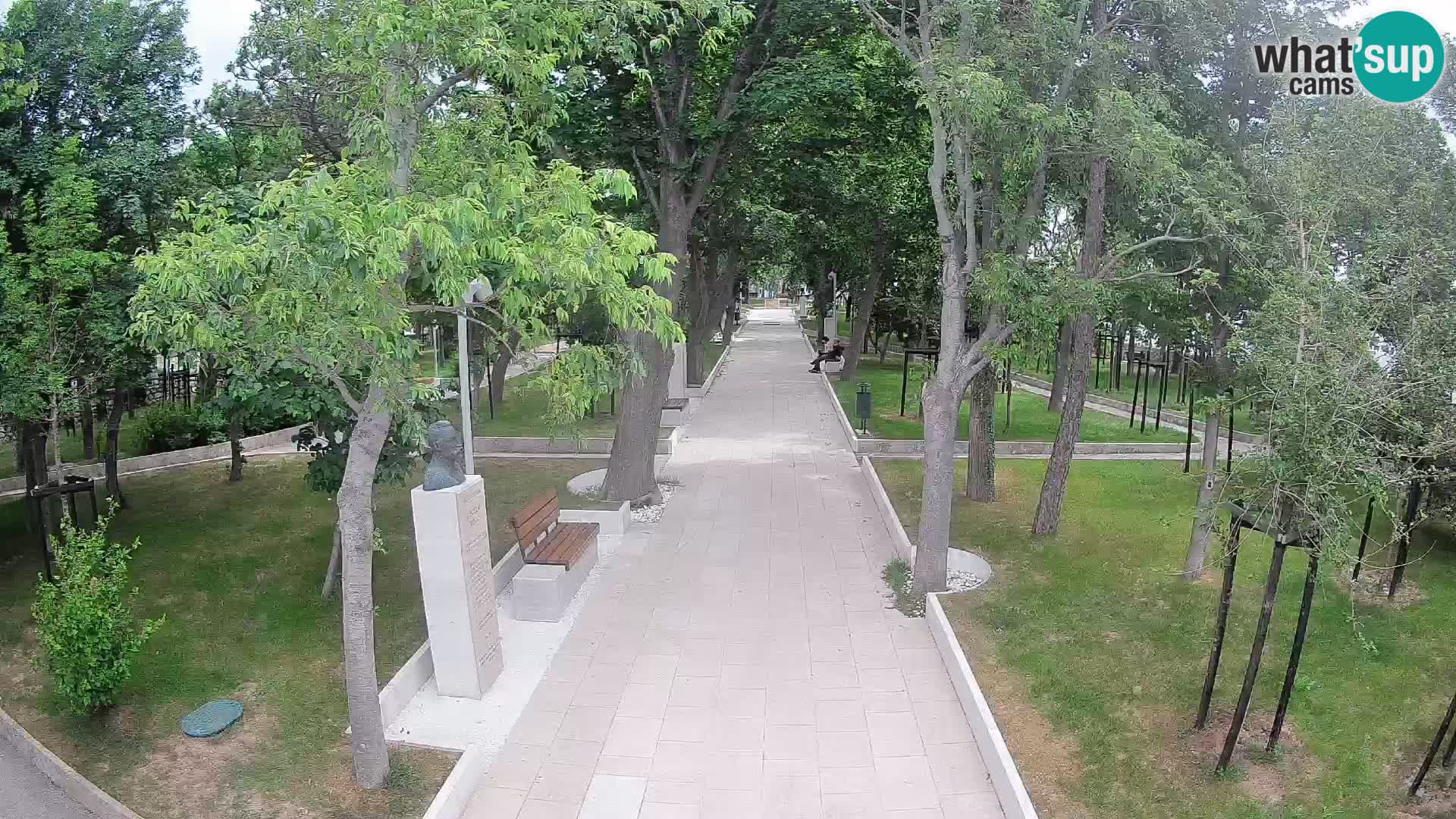 Webcam Parco degli Scrittori Segna – Diretta sul Mare