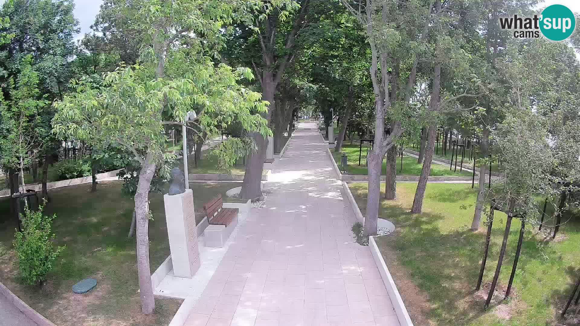 Webcam Parco degli Scrittori Segna – Diretta sul Mare