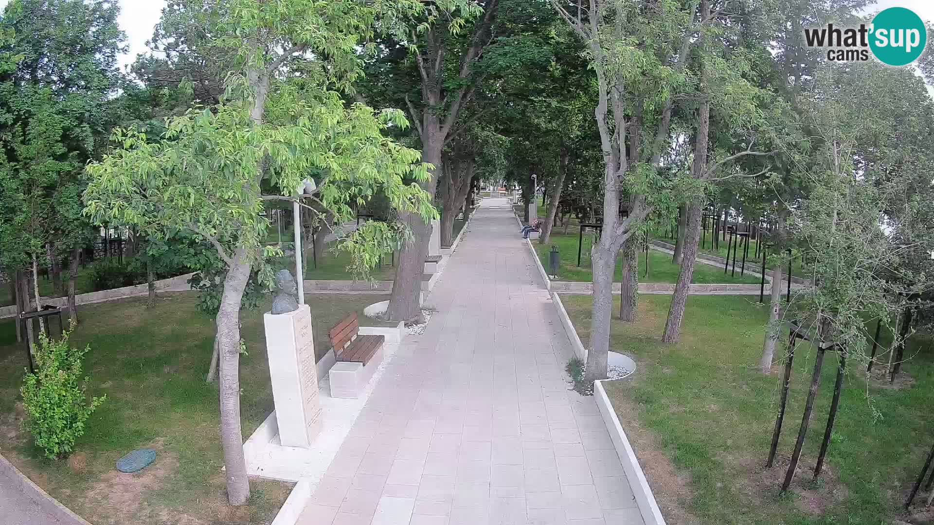 Webcam Parco degli Scrittori Segna – Diretta sul Mare