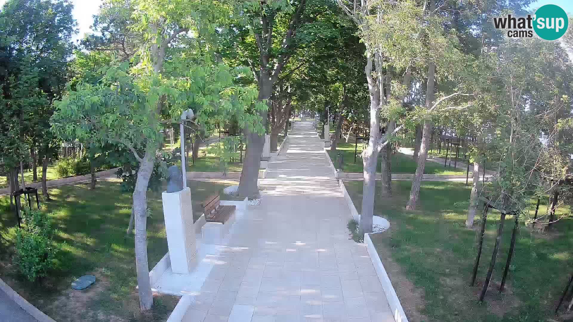 Webcam Parco degli Scrittori Segna – Diretta sul Mare