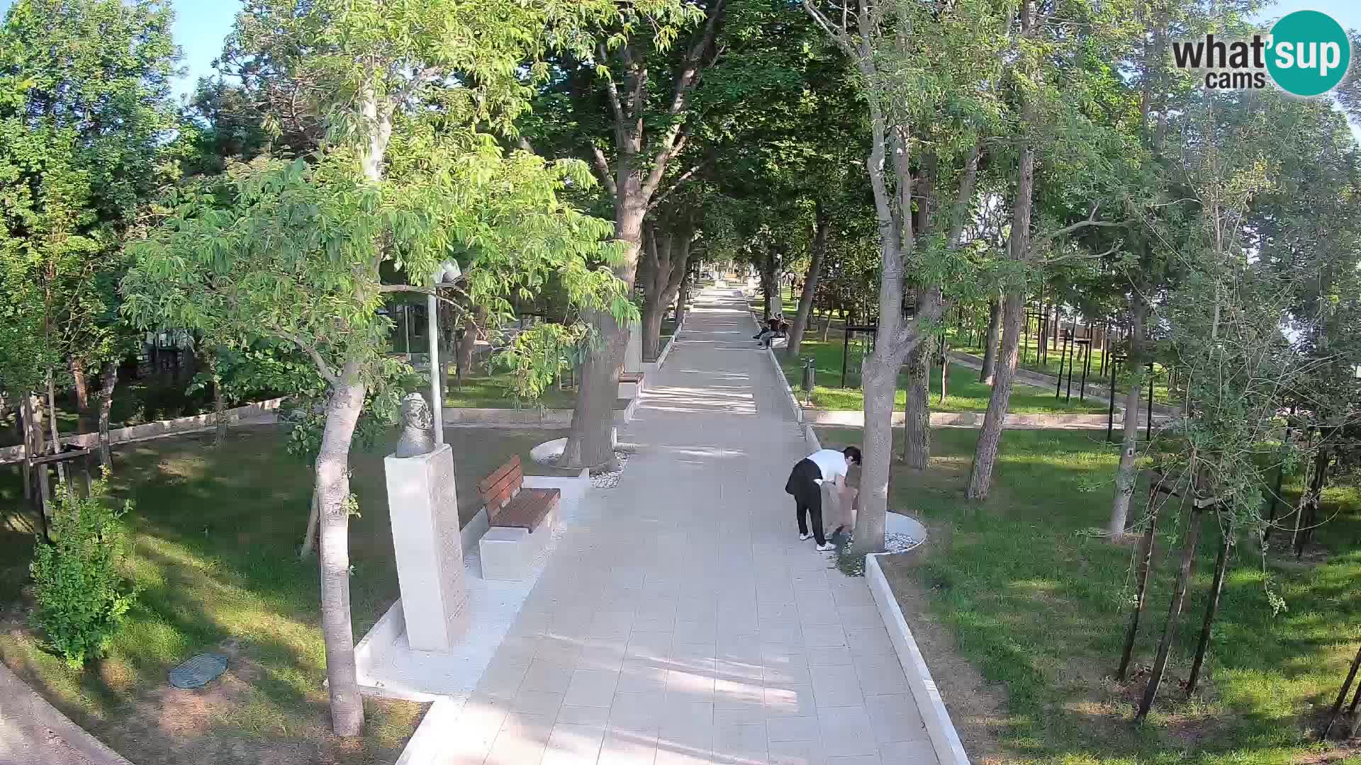 Webcam Parco degli Scrittori Segna – Diretta sul Mare