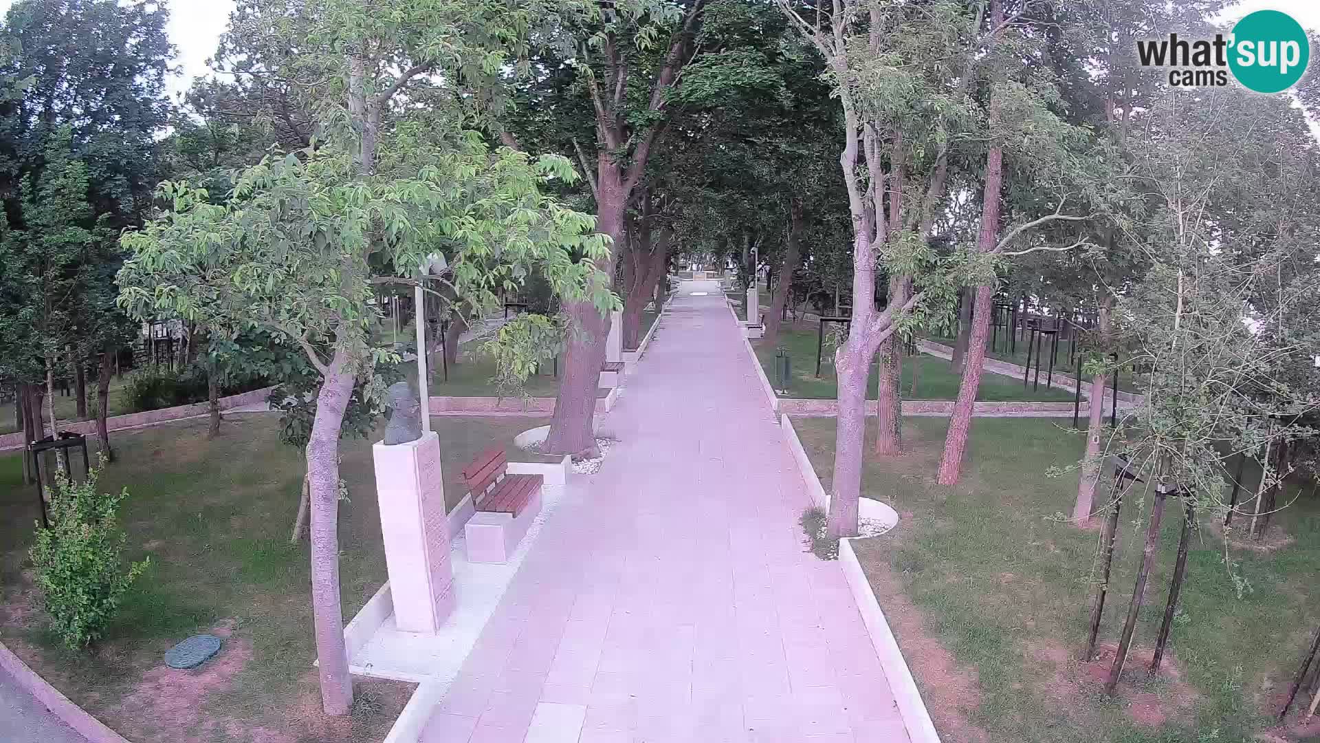 Writers’ Park Webcam Senj – Live by the Sea
