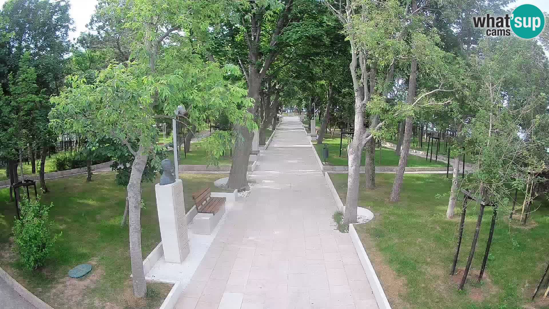 Webcam Parco degli Scrittori Segna – Diretta sul Mare