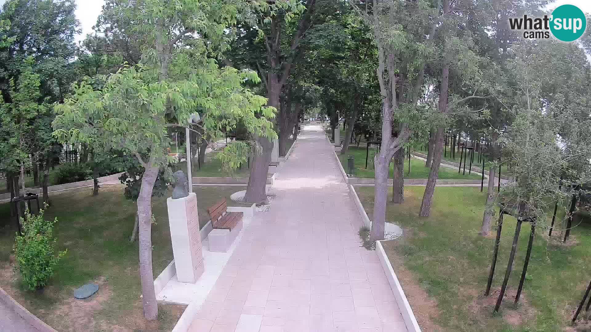 Webcam Parco degli Scrittori Segna – Diretta sul Mare