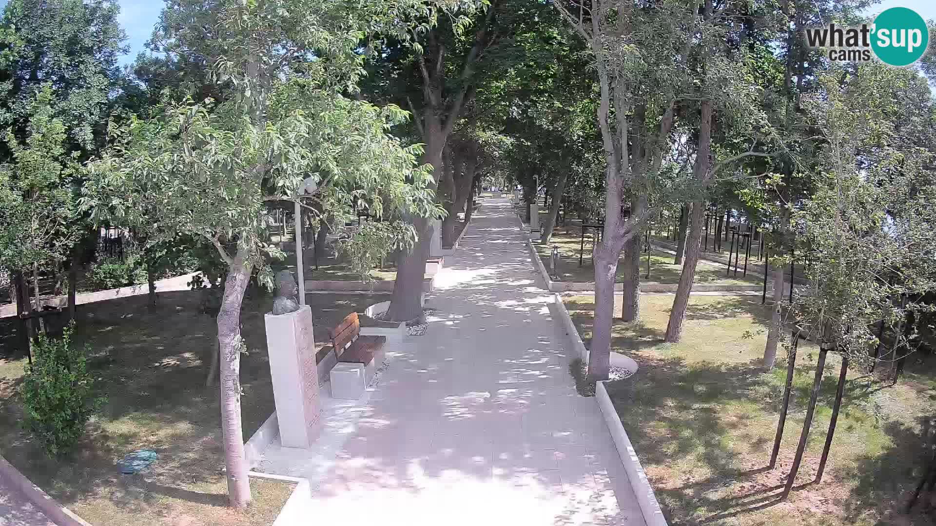 Webcam Parco degli Scrittori Segna – Diretta sul Mare