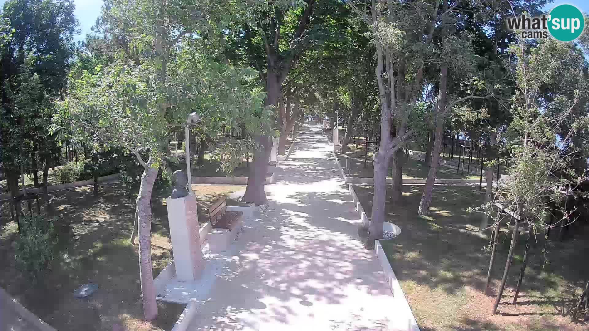 Writers’ Park Webcam Senj – Live by the Sea