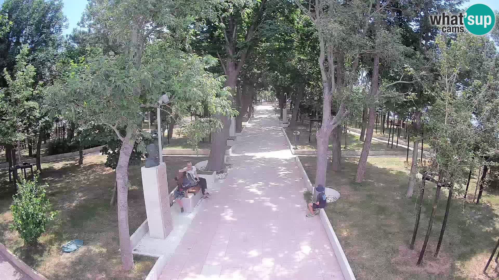 Webcam Parco degli Scrittori Segna – Diretta sul Mare