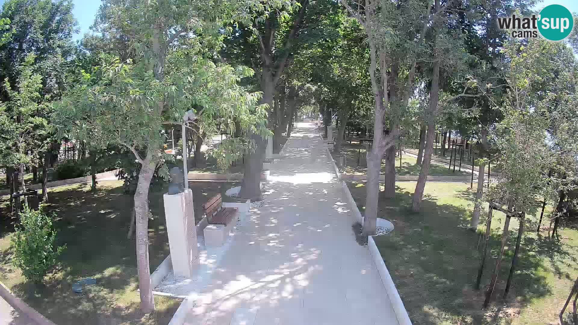 Webcam Parco degli Scrittori Segna – Diretta sul Mare