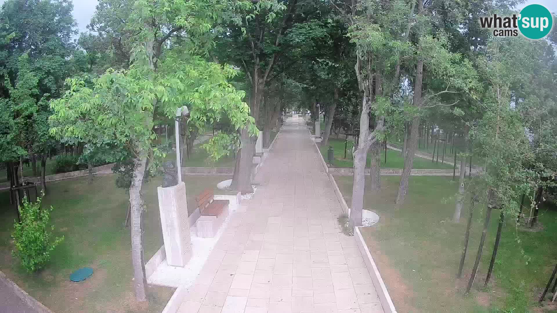 Webcam Parco degli Scrittori Segna – Diretta sul Mare