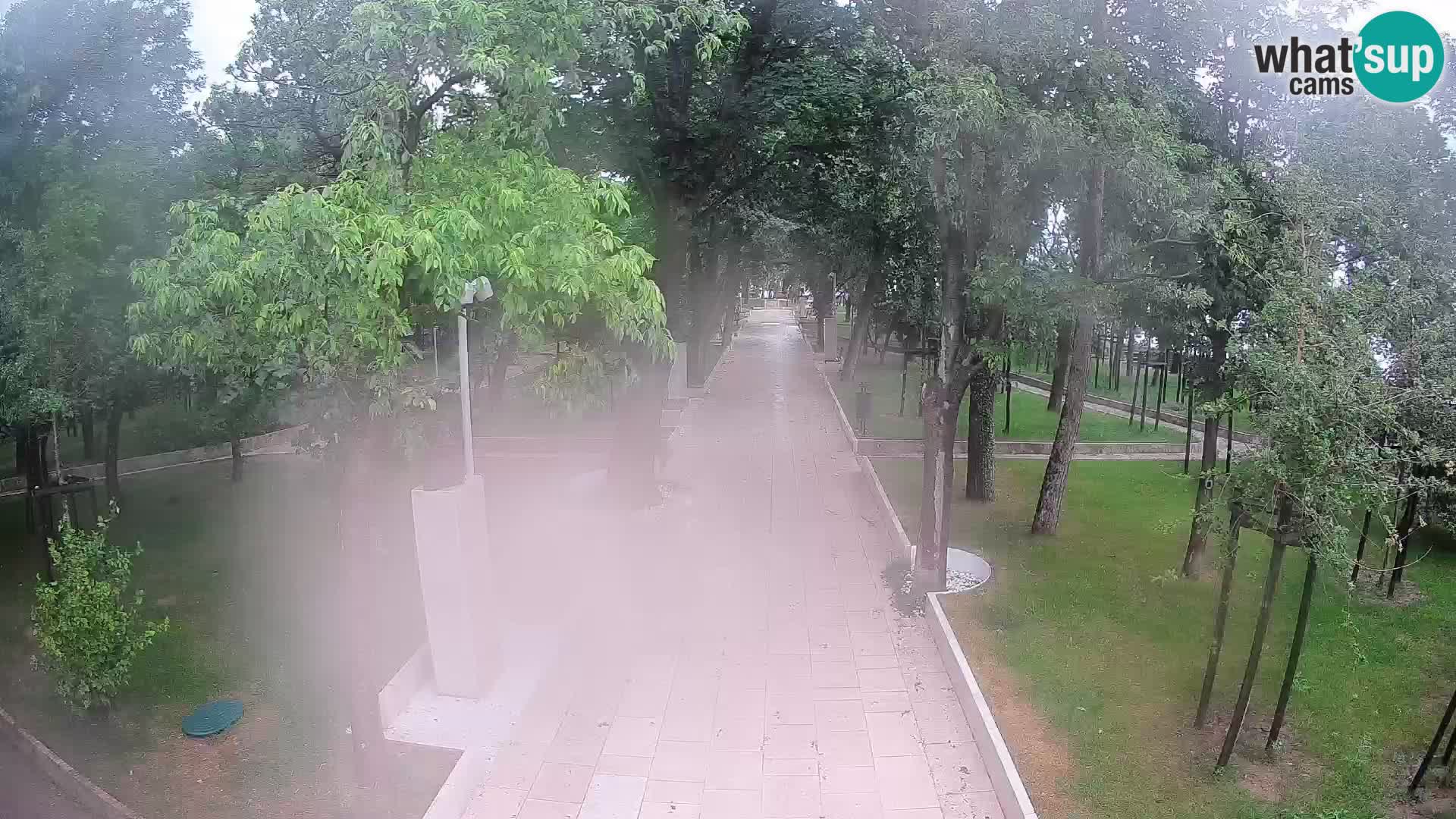 Webcam Parco degli Scrittori Segna – Diretta sul Mare