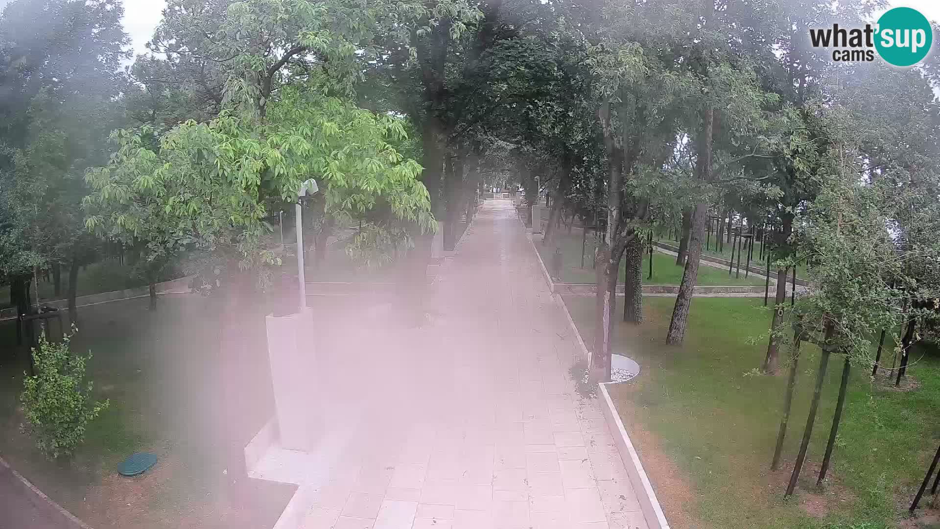 Webcam Schriftstellerpark Senj – Live am Meer