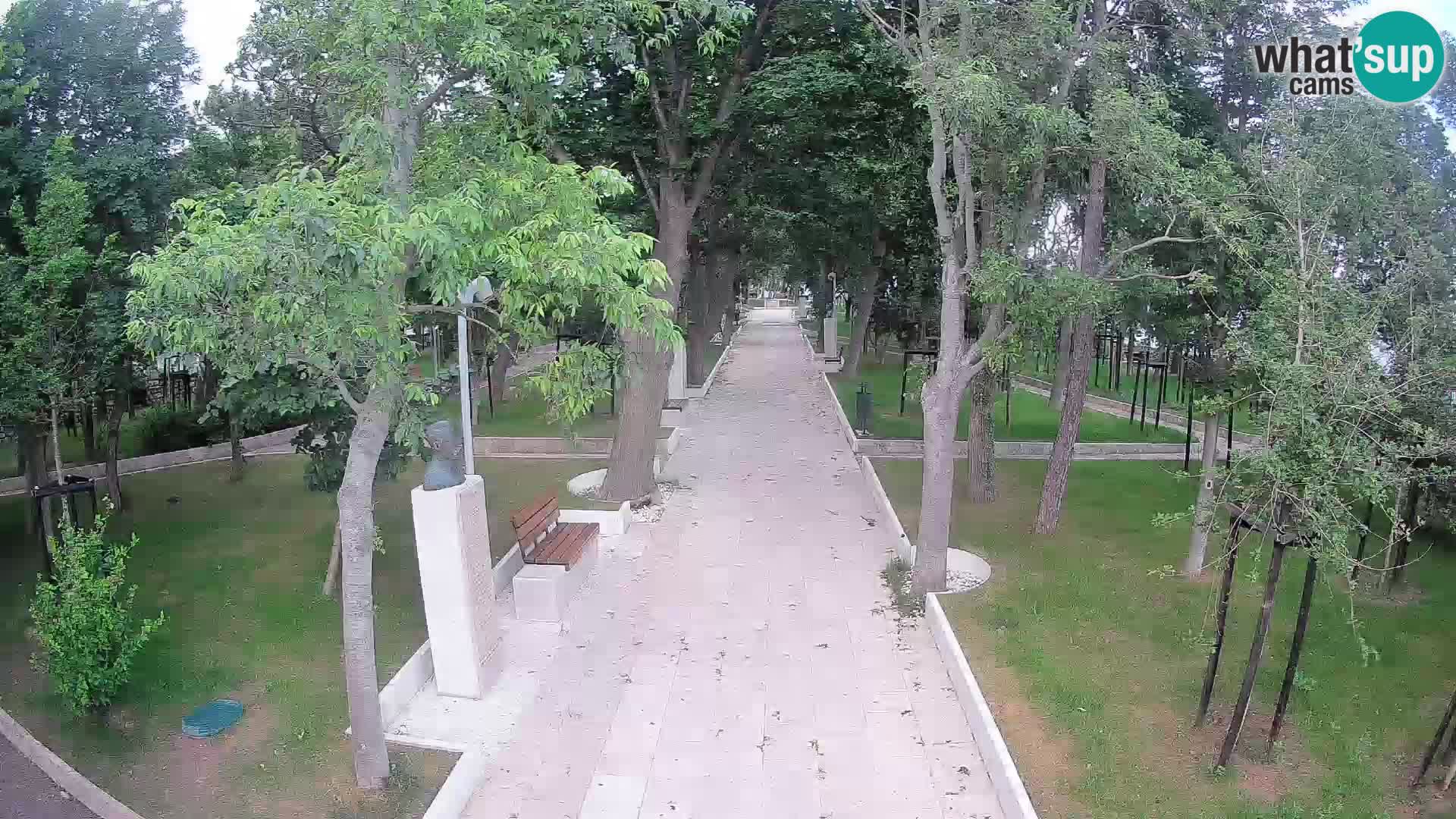Webcam Parco degli Scrittori Segna – Diretta sul Mare