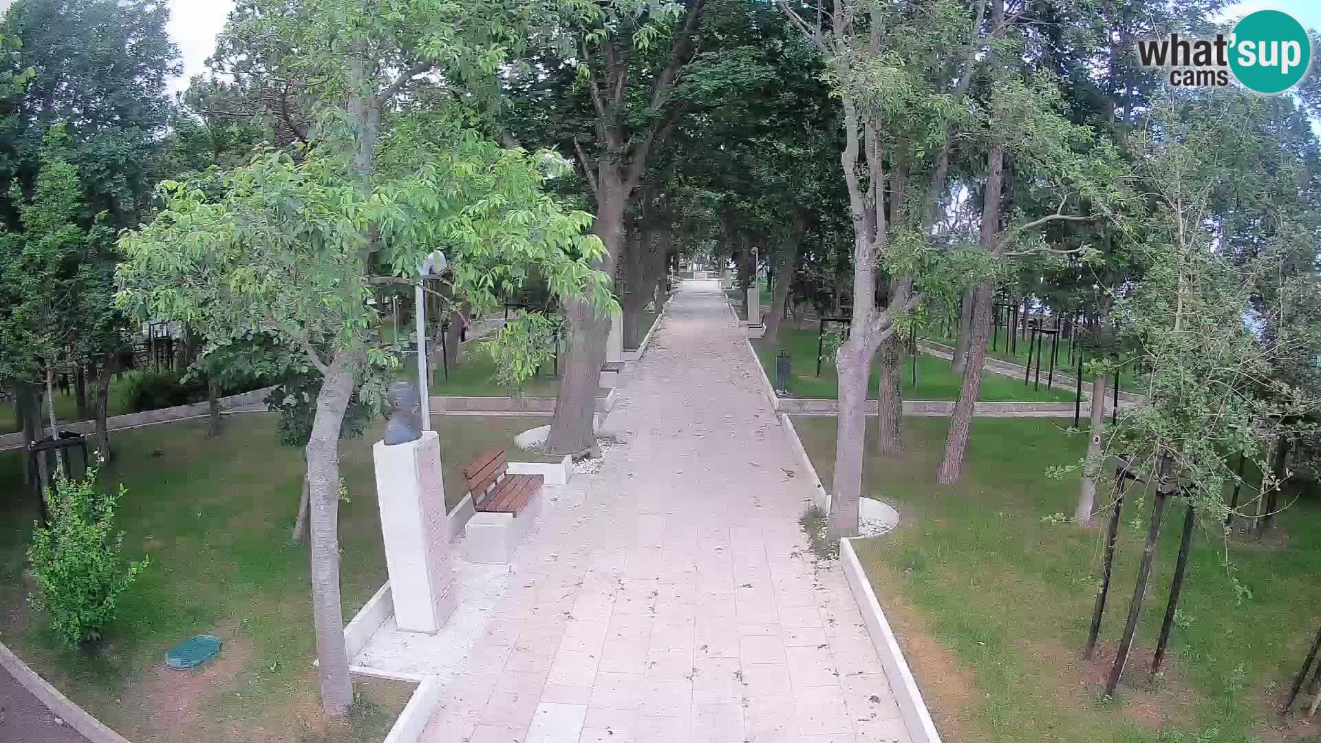 Park pisateljev Senj – Pogled v živo ob morju