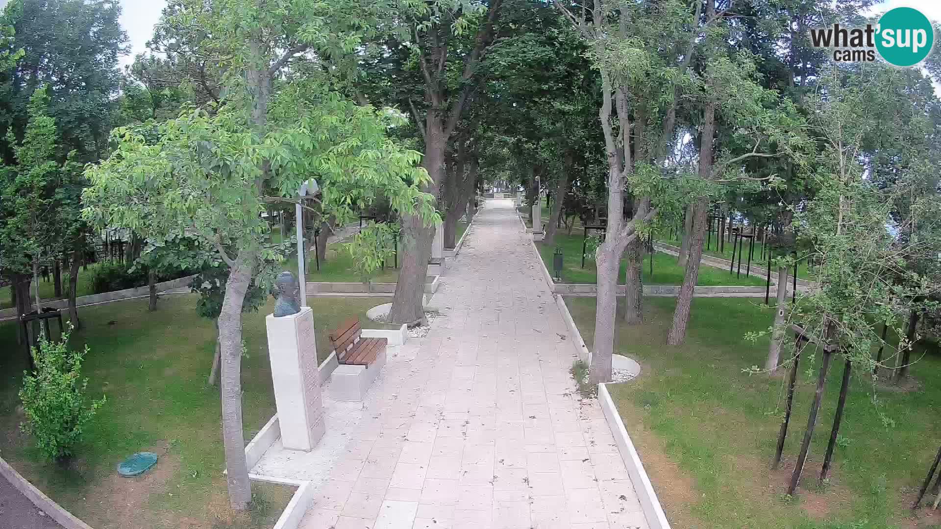 Webcam Parco degli Scrittori Segna – Diretta sul Mare