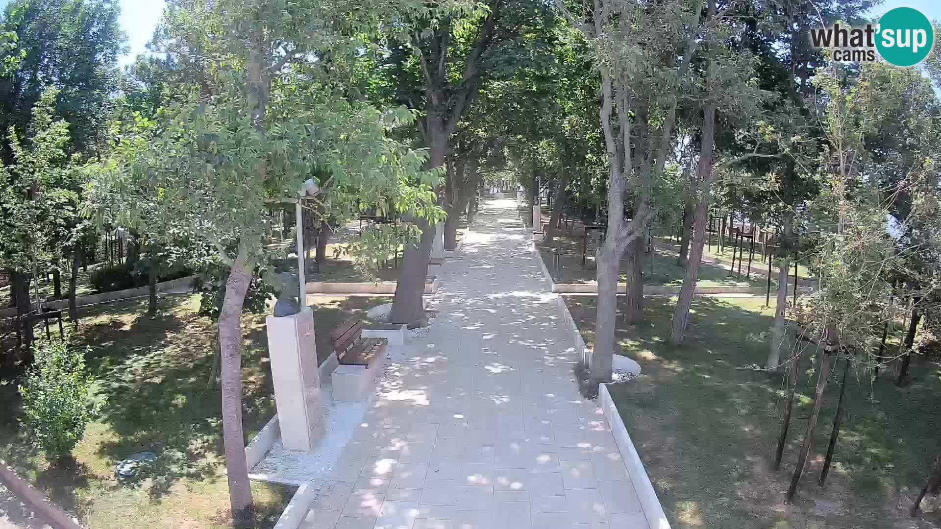 Webcam Parco degli Scrittori Segna – Diretta sul Mare