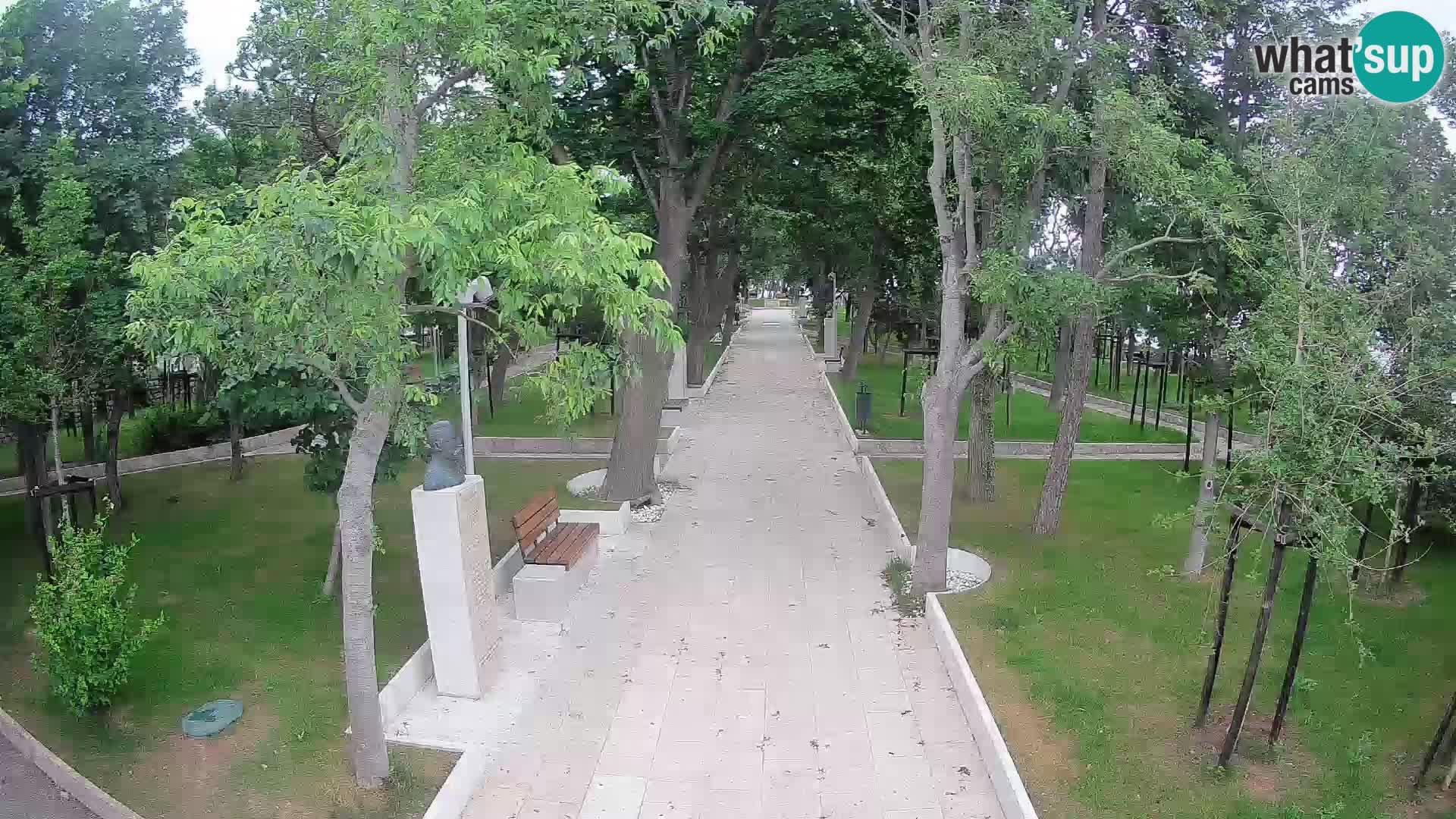 Webcam Parco degli Scrittori Segna – Diretta sul Mare