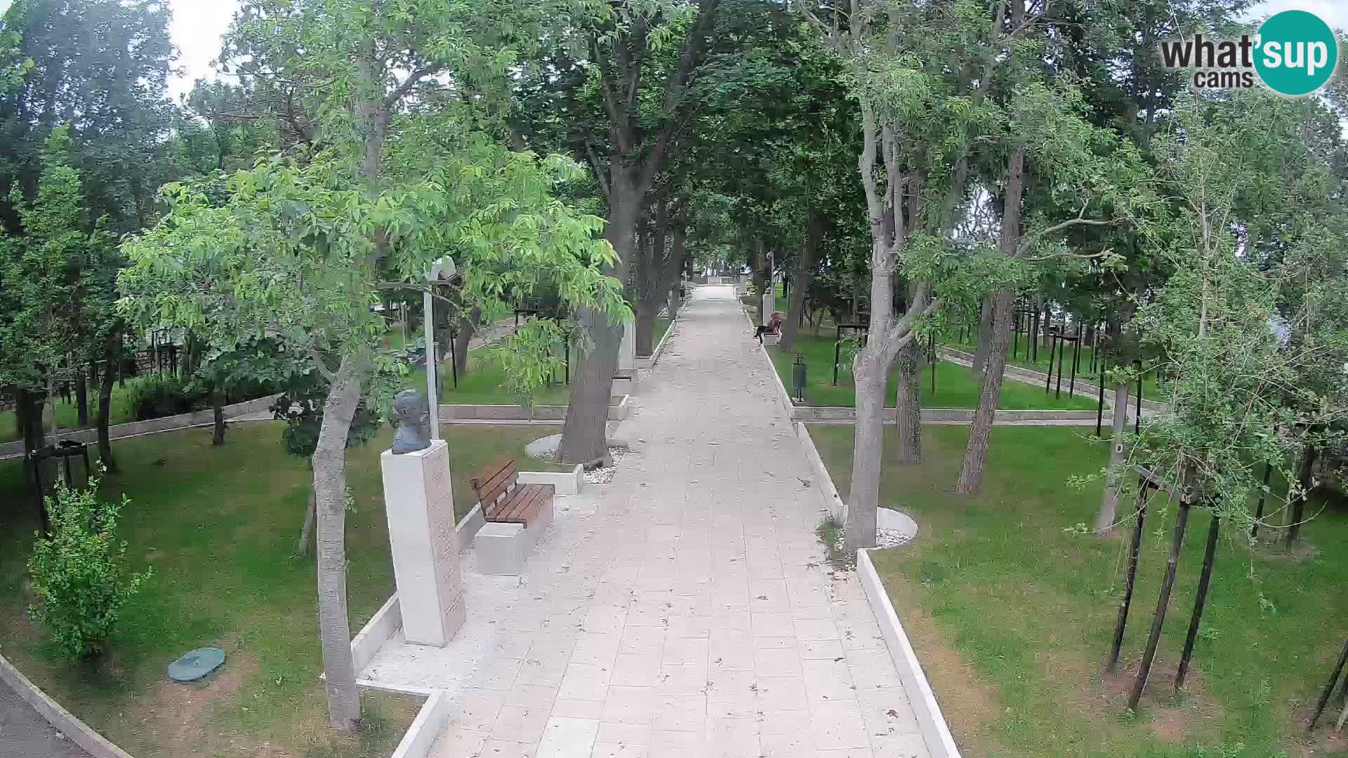 Webcam Parco degli Scrittori Segna – Diretta sul Mare